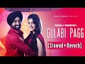 Gulabi Pagg Slowed Reverb Jugraj Sandhu Ft Isha Sharma The Boss Viral Punjabi Songs