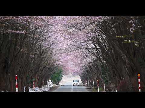 岩木山観光協会HP_FV映像