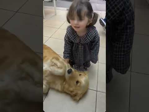 A perfect love story 🥰🥰🐣❤️❤️❤️🐕🐕🐕🐕🐕#aline #baby #alinesarakbi #funny #lulushorts #cute #dog #shorts