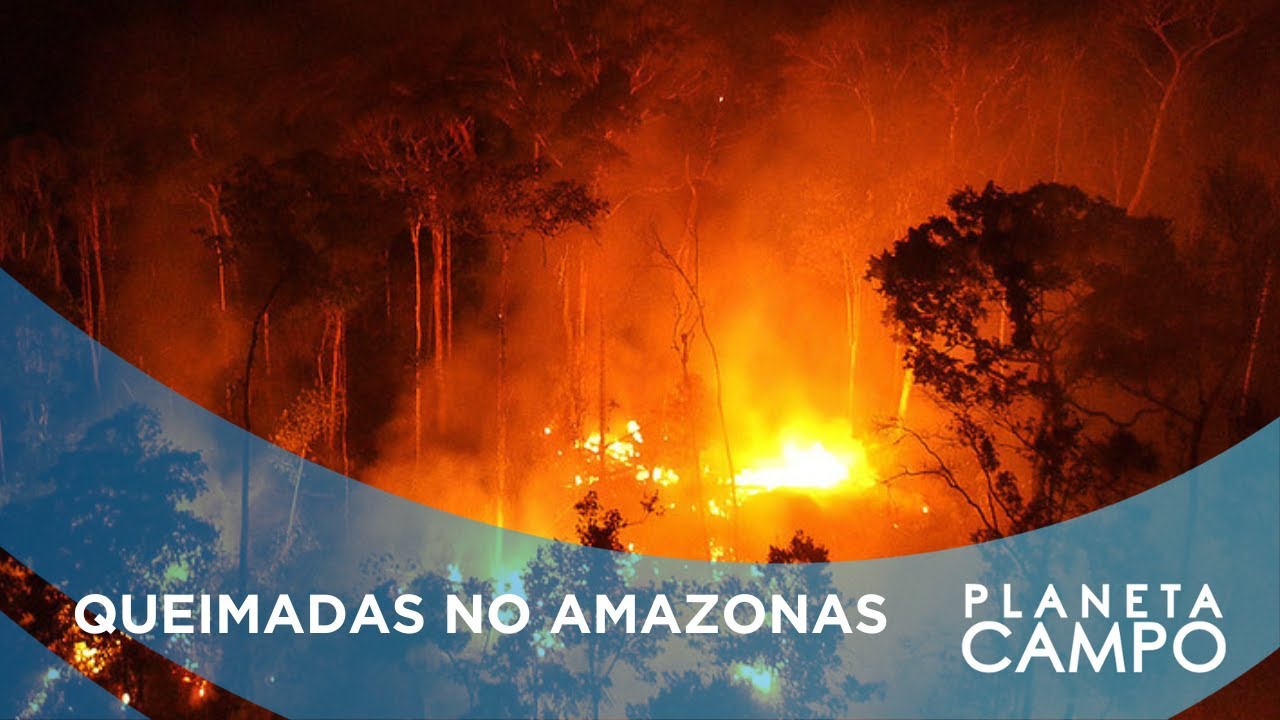 73% dos focos de incêndios acontecem em áreas federais