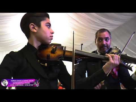 Darius Cocos & Costel Cocos - Program instrumental Vioara Nunta Mogosoaia New Live 2017 by DanielCam