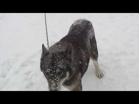 Elizabethtown KY / Hardin Co.  1/06/2022