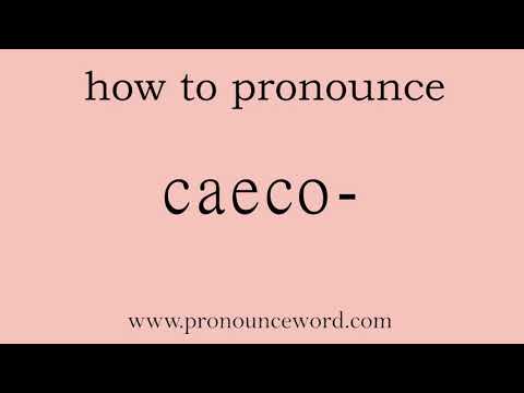 caeco-. How to pronounce the english word caeco- .Start with C. Learn from me.