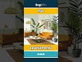 flat - apartamento video thumbnail
