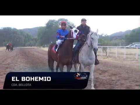 El Bohemio vs El Patriota 300yds