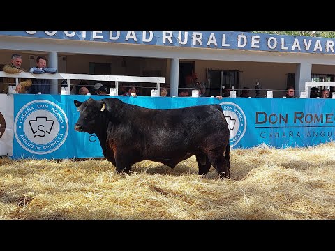 #ZonaCampodeVisita: 17° Remate Anual de Cabaña Don Romeo