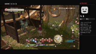 FF14チョコボの色変えチャレンジ(その2)