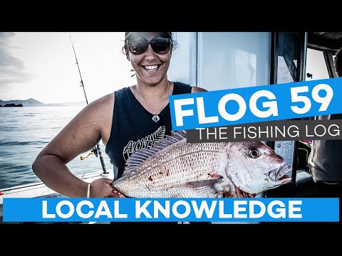 Flog 59 // Local Knowledge