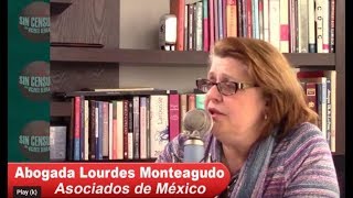 HAY CASOS EN LOS QUE MUCHOS MEXICANOS PUEDEN REGRESAR A EEUU: LOURDES MONTEAGUDO