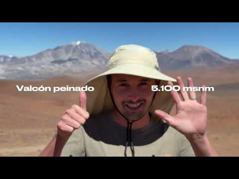 Catamarca VLOG 3 | Antofagasta de la Sierra 