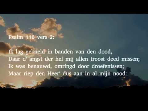 Psalm 116 vers 1, 2, 3 en 11 - God heb ik lief, want die getrouwe Heer'