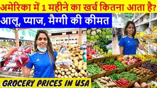 Monthly Indian Grocery Cost In America | अमेरिका में एक महीने का राशन? | Cost of living in USA Hindi