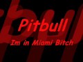 Pitbull - Im in Miami Bitch (Dj Thomas Sena) 