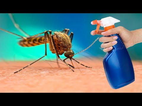How To Make The Strongest Natural Mosquito Repellent on the Planet!