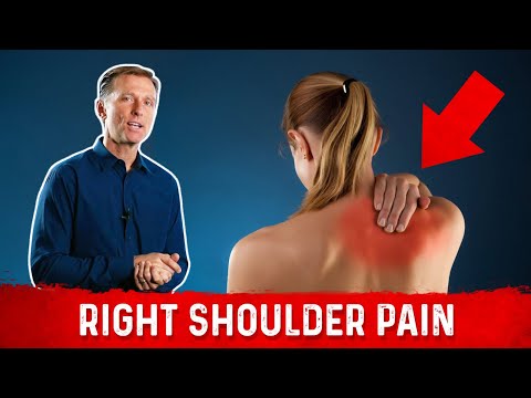 Why Sit Ups Are Bad Exercise to Reduce Belly Fat – Exercise for Belly Fat – Dr Berg