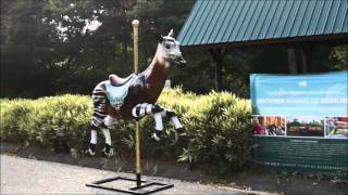Mesker Park Zoo Announces New Engelbrecht Carousel and Budgie Aviary