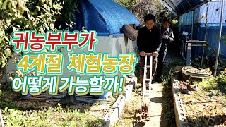귀농부부가 4계절 체험농장 어떻게 성공할 수 있었을까?