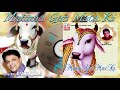 Gau Mata Ki Mahima Gau Mata Katha KMI Bhajan Rakesh Kala
