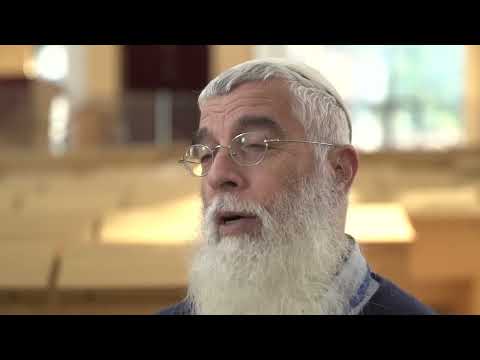 Lifnai Vlifnim Reflections Rav Dov