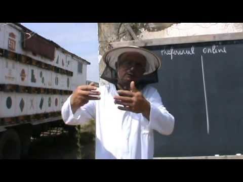 2. Proful online are solutii la problema invatamantului 2/2