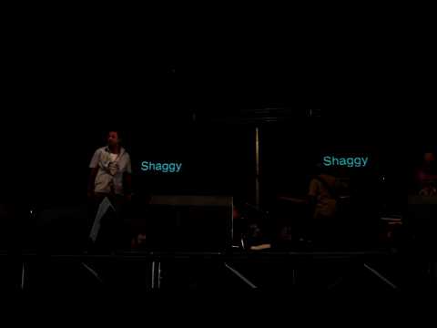 Sicily Music Village 10 Shaggy