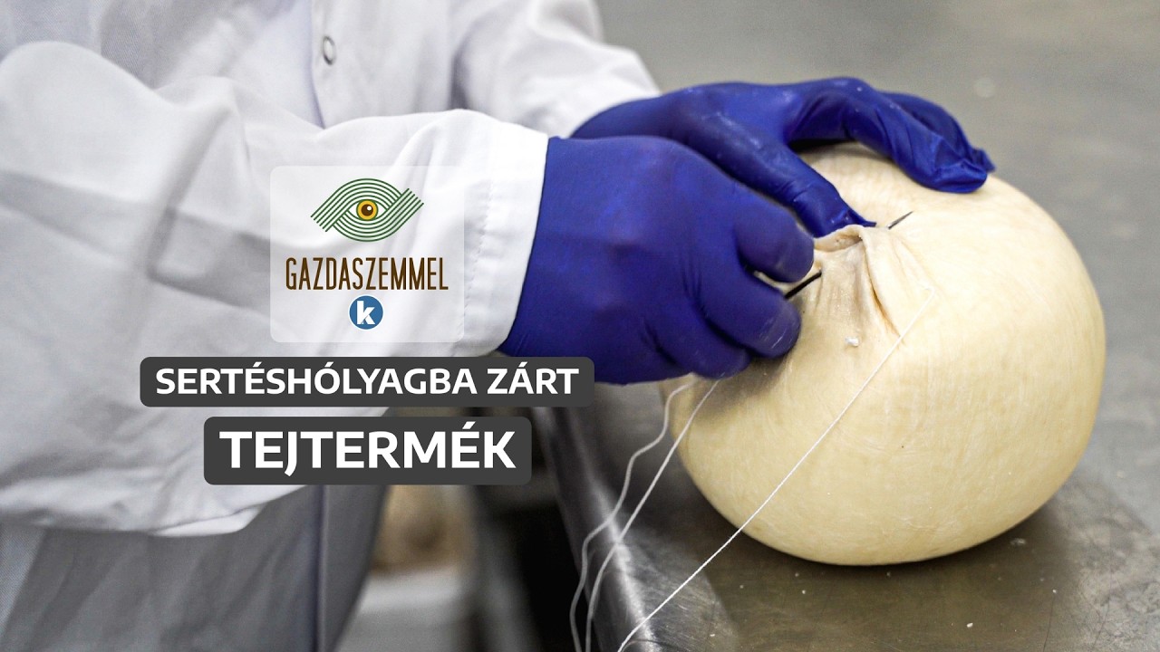 Így készül az uniós oltalmat nyert tekei gyúrt sajt | Gazdaszemmel