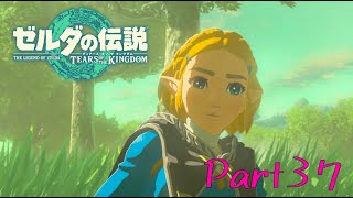 マスターソードを探しに-ゼルダの伝説 Tears of the Kingdom -part37-