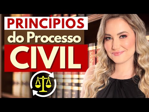 Principles of Civil Procedural Law (Summary)