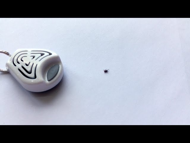 Youtube preview