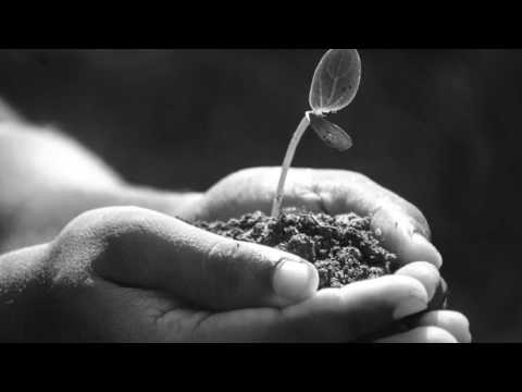 Anh có bao giờ thôi nhớ em - Dzoãn Minh