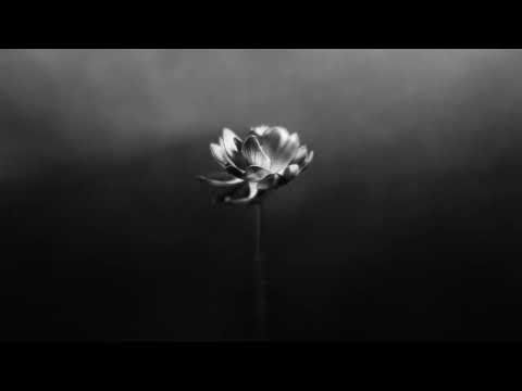 Little Simz - Blood (Vocals Acapella) (feat. Wretch 32 & Cashh)