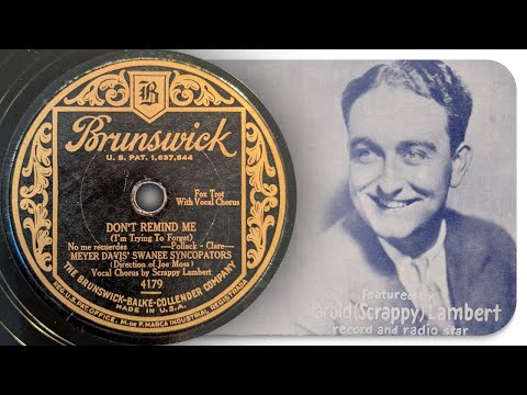 Don’t Remind Me – Meyer Davis’ Swanee Syncopators (1928)