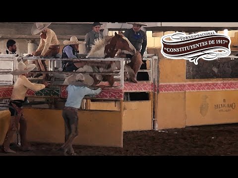 Jineteo de Yegua dia 18 febrero -Torneo Constituyentes de 1917 Arroyo Negro 2022
