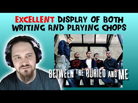Composer/Musician Reacts to Between the Buried and Me - Backwards Marathon (REACTION!!!)