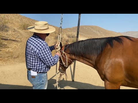 Hanging Styx in the Las Cruces Half Breed…and Other Business