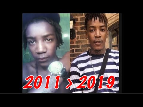 The Evolution of Lil Mister (2011-2019)