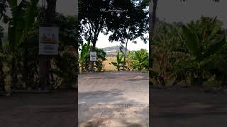 Download lagu story w.a tanjung mas ninggal janji terbaru ' slow ' mp3