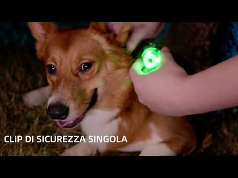 Olight Gober Verde Luce di Sicurezza