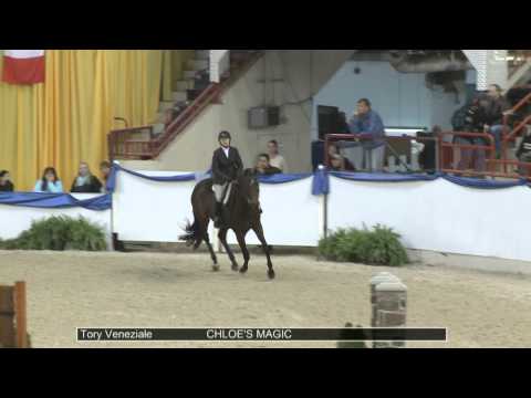 101 CHLOE'S MAGIC Tory Veneziale, Class 1 Adult Amateur 18 35 OF