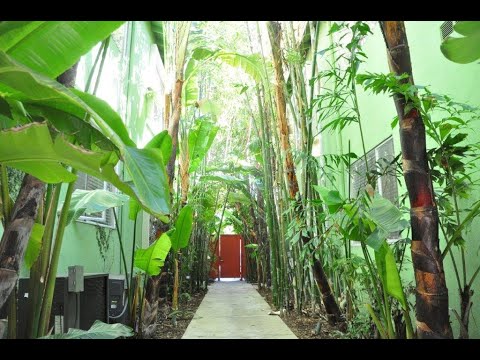 PL10044 - Beachwood Canyon 2 BED + 1 BATH For Rent