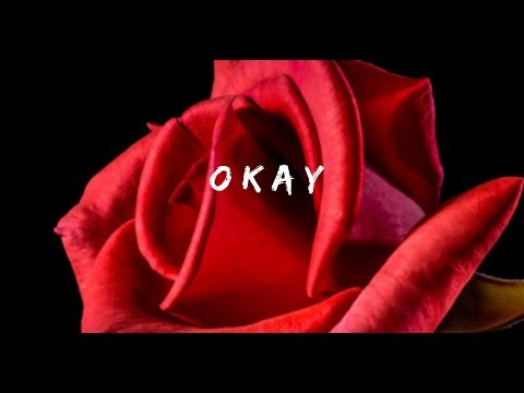 Lokin & Summerjack - Okay (Lyric video)