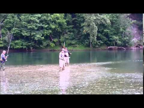 Pecanje Skobalja na Drini - Usce Rogacice