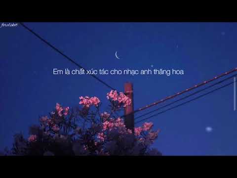 ( Lyrics ) EM NHƯ NÀO CŨNG ĐƯỢC - NGÔ LAN HƯƠNG x Dcrownfly