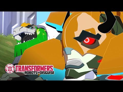 ‘Let’s Catch Us a Buffaloid!’ Official Clip ? Robots in Disguise Season 1 | Transformers Official