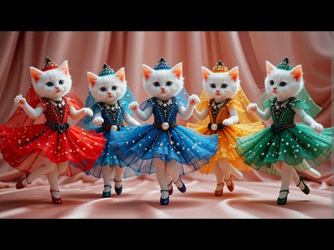 Dudi Dudi Dam Dam 💃💃💃 | Cutest  Cat Dancing On Dudi Dudi Dam Dam😺 #dudidudi #dumdum #catdancing