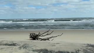 Winter Weekend at the Beach, OBX NC