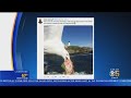 Caught On Camera Seagull Steals Woman S Lobster Roll