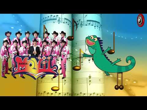 “La Iguana” Banda Móvil