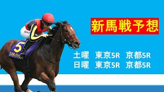 【新馬戦予想】10/28、10/29新馬戦予想。2億5000万の高額馬や超名牝の甥などが登場