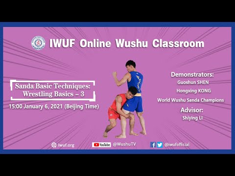 Sanda Basic Techniques: Wrestling Basics-3